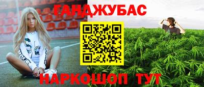 Альфа ПВП Ивантеевка