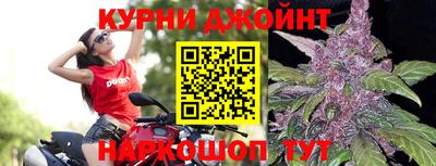 Альфа ПВП Ивантеевка
