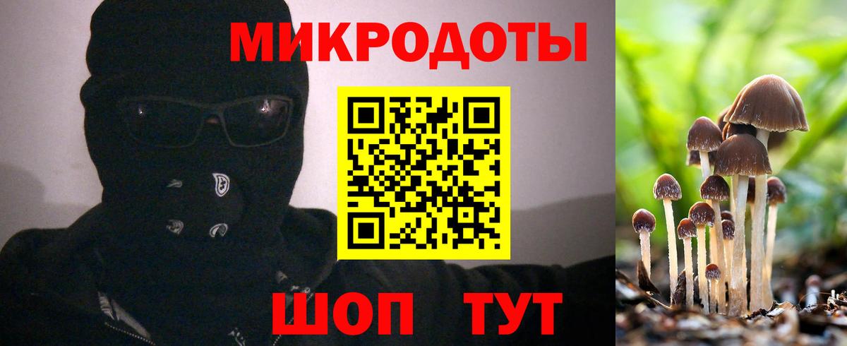 Псилоцибиновые грибы Psilocybine cubensis Ливны